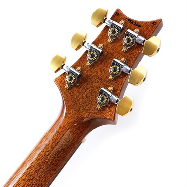 P.R.S. Modern Eagle V 10Top (Yellow Tiger) #0356206 画像8