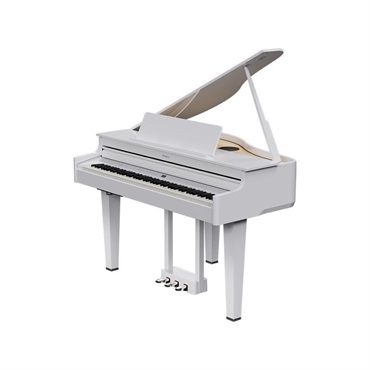 Roland 【6月下旬以降据付予定】GP-6-PWS(10年保証)(数量限定豪華特典付き)(古い電子ピアノ無料引取)(全国配送・組立設置無料(※沖縄・離島は除く))※代引不可(電子ピアノ) 画像1