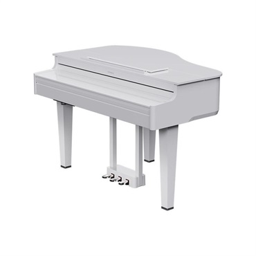 Roland 【6月下旬以降据付予定】GP-6-PWS(10年保証)(数量限定豪華特典付き)(古い電子ピアノ無料引取)(全国配送・組立設置無料(※沖縄・離島は除く))※代引不可(電子ピアノ) 画像2