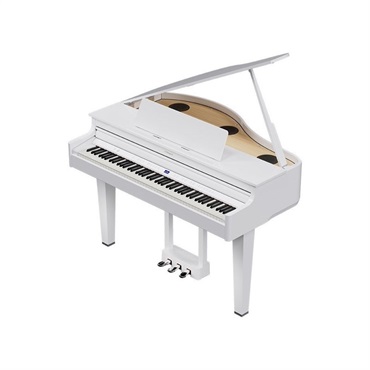 Roland 【6月下旬以降据付予定】GP-6-PWS(10年保証)(数量限定豪華特典付き)(古い電子ピアノ無料引取)(全国配送・組立設置無料(※沖縄・離島は除く))※代引不可(電子ピアノ) 画像3