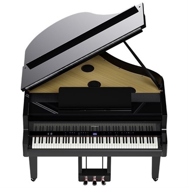 Roland 【7月中旬以降据付予定】GP-9-PES(10年保証)(古い電子ピアノ無料引取)(全国配送・組立設置無料(※沖縄・離島は除く))※代引不可(電子ピアノ) 画像6