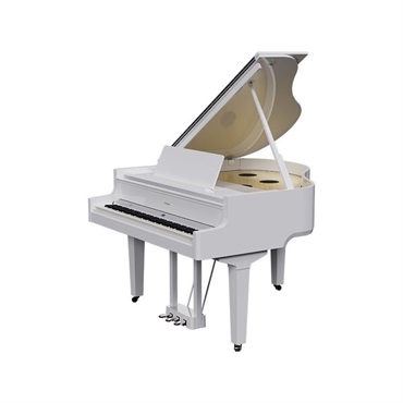 Roland 【次回納期未定】GP-9-PWS(10年保証)(古い電子ピアノ無料引取)(全国配送・組立設置無料(※沖縄・離島は除く))※代引不可(電子ピアノ) 画像1