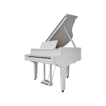 Roland 【次回納期未定】GP-9-PWS(10年保証)(古い電子ピアノ無料引取)(全国配送・組立設置無料(※沖縄・離島は除く))※代引不可(電子ピアノ) 画像3