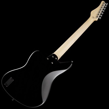 SCHECTER AR-07 (Black/Rosewood) 画像2