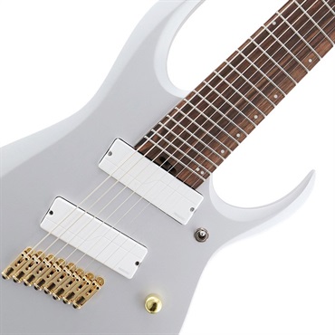 Ibanez Axe Design Lab RGDMS8-CSM (Classic Silver Matte) 画像3