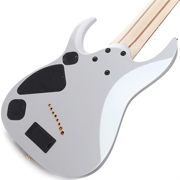 Ibanez Axe Design Lab RGDMS8-CSM (Classic Silver Matte) 画像5