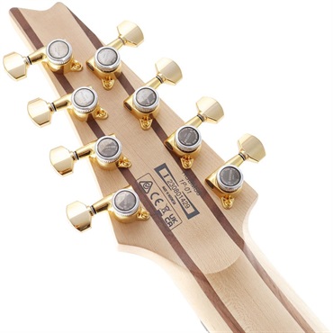 Ibanez Axe Design Lab RGDMS8-CSM (Classic Silver Matte) 画像7