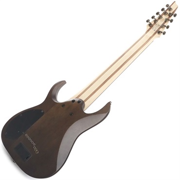 Ibanez Axe Design Lab RG9PB-TGF (Transparent Gray Flat) 画像2