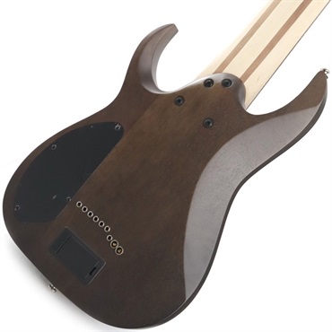 Ibanez Axe Design Lab RG9PB-TGF (Transparent Gray Flat) 画像5