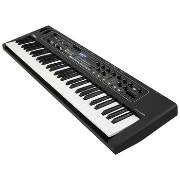 YAMAHA ヤマハ CK61 ステージキーボード 画像3