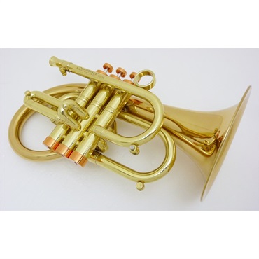 CAROL BRASS キャロルブラス / Taylor Phat Puppy CL 【Bb ポケット フリューゲル ホルン】【出荷前調整で安心】 画像1