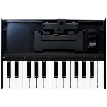 Roland TB-03 [Boutique Series]+K-25M【専用鍵盤セット】 画像3