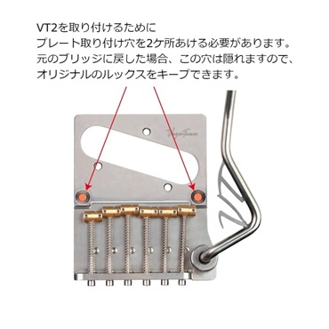 Vega-Trem 【お取り寄せ商品】 VT2 Teletrem classic [VTロゴ無しアーム付属版] 画像3