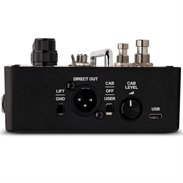 Ampeg SGT-DI 【夏先取り大特価セール】 画像2
