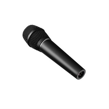 EARTHWORKS 【アースワークスVocal Mic Promo 2026！】SR117 (コンデンサーマイク)(スーパーカーディオイド)(アースワークス) 画像1