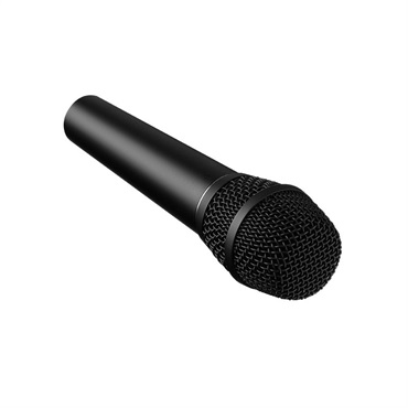 EARTHWORKS 【アースワークスVocal Mic Promo 2026！】SR117 (コンデンサーマイク)(スーパーカーディオイド)(アースワークス) 画像2