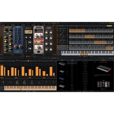 IK Multimedia Syntronik 2 Max v2(代引不可)(オンライン納品) 画像1
