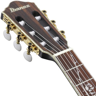 Ibanez TOD10N-TKF (Transparent Black Flat) [Tim Henson Model] 【新仕様】 画像4
