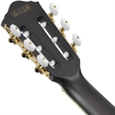 Ibanez TOD10N-TKF (Transparent Black Flat) [Tim Henson Model] 【新仕様】 画像5