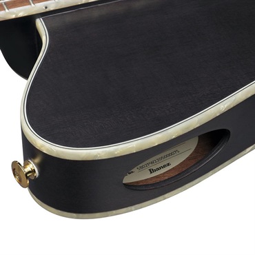 Ibanez TOD10N-TKF (Transparent Black Flat) [Tim Henson Model] 【新仕様】 画像7