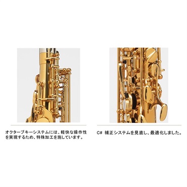Selmer Paris 【貝沼拓実氏選定品】アルトサックス セルマー Supreme シュプレーム DGL(ダークゴールドラッカー)【選定料サービス!!】 【調整&セットアップ後出荷】【5年間キーバランス調整無料】 画像3