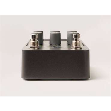 Universal Audio 【夏先取り大特価セール】UAFX Galaxy '74 Tape Echo & Reverb（ユニバーサルオーディオ）テープエコー/リバーブ 画像2