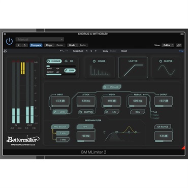 Bettermaker Mastering Limiter 2.0 (ベターメイカー)(マスタリング)(リミッター) 画像6