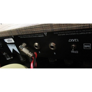 Morgan Amplification DUAL 20 Combo Driftwood（モーガン） 画像6
