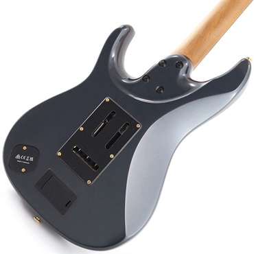 Ibanez KRYS10 [Scott LePage Model] 画像5