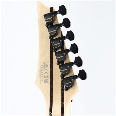 Ibanez j.custom Axe Design Lab RG8870-BRE (Black Rutile) 画像9