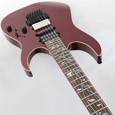 Ibanez j.custom Axe Design Lab RG8870-AGT (Almandite Garnet) 画像4