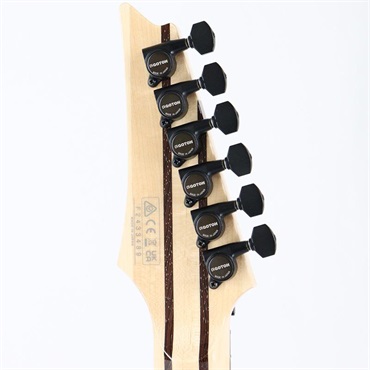 Ibanez j.custom Axe Design Lab RG8870-AGT (Almandite Garnet) 画像9