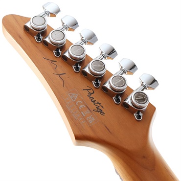 Ibanez MMN1-TAB (Transparent Aqua Blue) [Martin Miller Model] 画像7