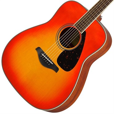 YAMAHA FG820 (Autumn Burst)   ヤマハ 画像2