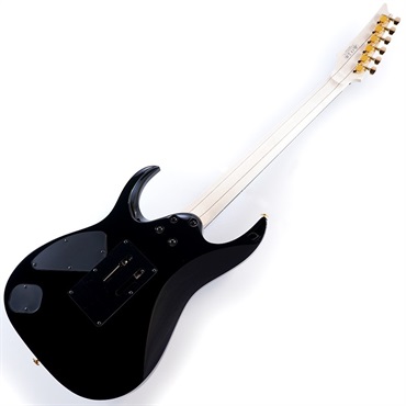 Ibanez Prestige Axe Design Lab RGA622XH-BK 画像2