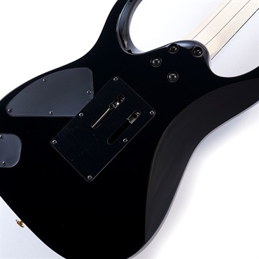 Ibanez Prestige Axe Design Lab RGA622XH-BK 画像7