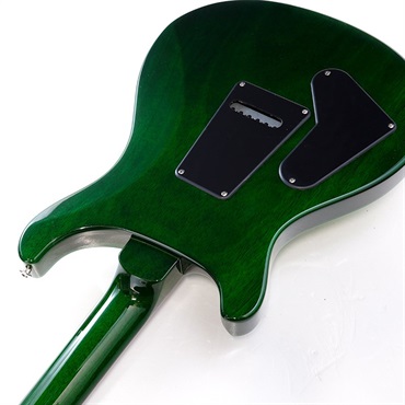 P.R.S. S2 10th Anniversary Custom 24 (Eriza Verde ) 画像6