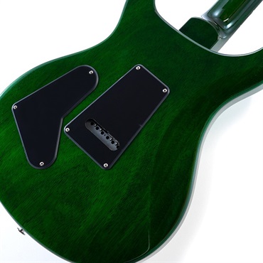 P.R.S. S2 10th Anniversary Custom 24 (Eriza Verde ) 画像7
