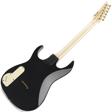 Ibanez PGM50-BK (Black) [Paul Gilbert Model] 画像2