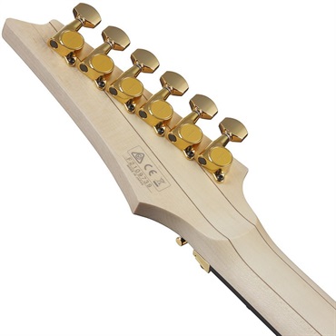 Ibanez Prestige Axe Design Lab RGA622XH-BK 画像5