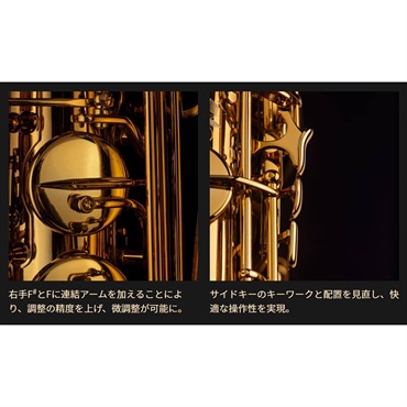 Selmer Paris 【旧定価品！】テナーサックス セルマー Supreme シュプレーム DGL(ダークゴールドラッカー) 【調整&セットアップ後出荷】【5年間キーバランス調整無料】 画像5