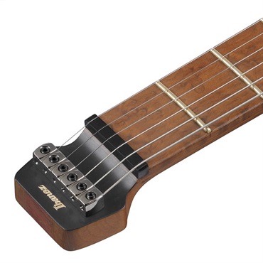 Ibanez Q54-BKF [SPOT MODEL] 画像4