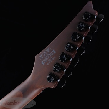 Ibanez RGD7521PB-DSF 画像6