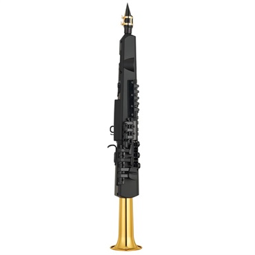 YAMAHA ヤマハ デジタルサックス（DIGITAL SAX） YDS-150【スタンド&ヘッドフォン&マウスピースパッチ付きお買い得セット】 画像2