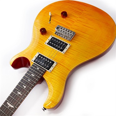 P.R.S. SE Custom 24 (Vintage Yellow) 画像5