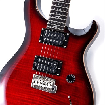 P.R.S. SE Custom 24 (Fire Red Burst) 画像3
