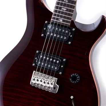 P.R.S. SE Custom 24 (Black Cherry) 画像3