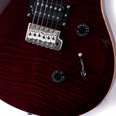 P.R.S. SE Custom 24 (Black Cherry) 画像4