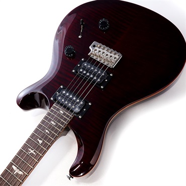 P.R.S. SE Custom 24 (Black Cherry) 画像5