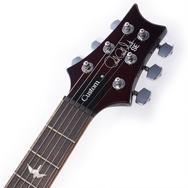 P.R.S. SE Custom 24 (Black Cherry) 画像8